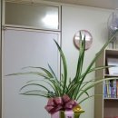 성수행정사사무소 이미지