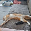 학익동물병원 이미지