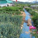 (주)삼동