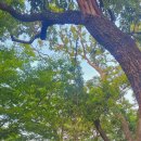 그가 여가,남해 이미지