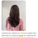 메이뉴헤어 이미지