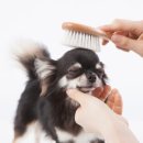 강아지와고양이나라 동물병원 이미지