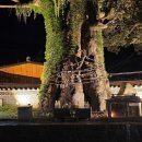 천광 | 막혔던 일들이 술술~ 순천 천광작두장군 신점 후기