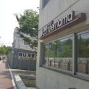 커피마마안산나무