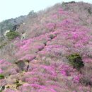 진남마을회관 이미지