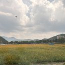 느티나무작은도서관 | 청송자연휴양림 후기(신축 숲속의 집 1호 느티나무)