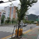 동일2차세탁소 이미지