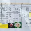 북경쌀짜장 이미지