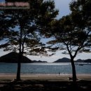 남해파도식당 이미지