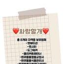 개미용중 이미지