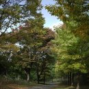 경상남도 수목원 이미지