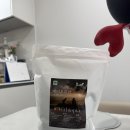 커피왕 | [고양 카페 추천] [왕의커피 본점] 에디오피아 시다모 G1 원두 후기