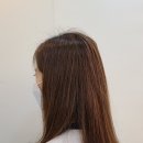 팰리스카운티 이미지