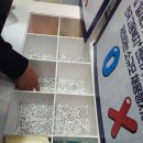 순천고용센터 | 2025 부산 잡 페스티벌 Job스토리 고용24 벡스코 채용박람회 행사 방문 후기