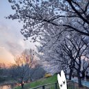 보스톤가족치과의원 이미지