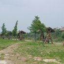 호수공원6로 이미지