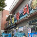 [부산] 새로운 가성비 맛집을 알아내버렸다! 포항물회에서 물회, 회비빔밥 후기
