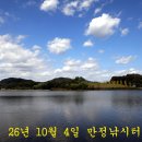 토종 붕어가! 이미지