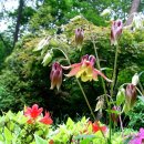 보성녹차골휴게소 이미지