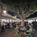 엘에이푸드(LA FOOD) | LA파머스마켓 주차, 운영시간, 팜파스그릴 솔직후기, LA그로브몰 크리스마스 분위기