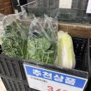 (주)이마트창동점 | 이마트 김장 재료 행사 후기 | 손질배추 가격 11월 할인 정보 총정리