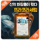 씨티에프 이미지