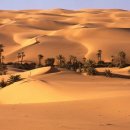 세상에서 독특한 사막 10 이미지