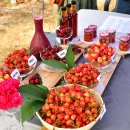 시후농장 이미지