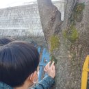 고림초등학교 이미지