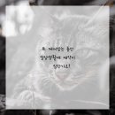 안녕한의원 이미지