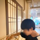 고양이사랑채 이미지