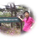 하늘길 이미지