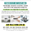 진양카센타 이미지