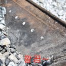 파인트리캠핑장 이미지