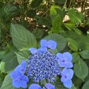 장산 마고당+천제당 | 부산 해운대 장산 등반- 도심 속 바다 뷰와 함께한 힐링 산행