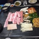 준코-제주