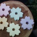 수원은혜와진리교회 이미지