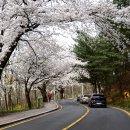 우암산순환로 이미지