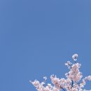 닥터파파동물병원 이미지