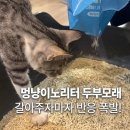 행복한 멍냥이 | 우리 냥이도 반한 멍냥이노리터 두부모래 후기