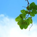 부천제일요양병원 이미지