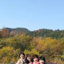 대범농장 네이버블로그