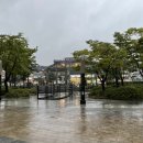 스타벅스커피일산식사점