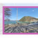 곰돌이약국 이미지