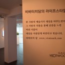비바윤 이미지