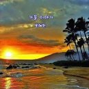 단풍나무 이미지