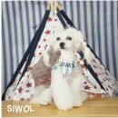 마린독스 이미지