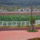 용해 이미지