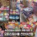 천안 말랑이 슬랑이 왁뿌 성지 신방동 오피스토이몰 다녀온 후기
