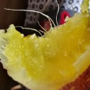 맛샘농장 이미지